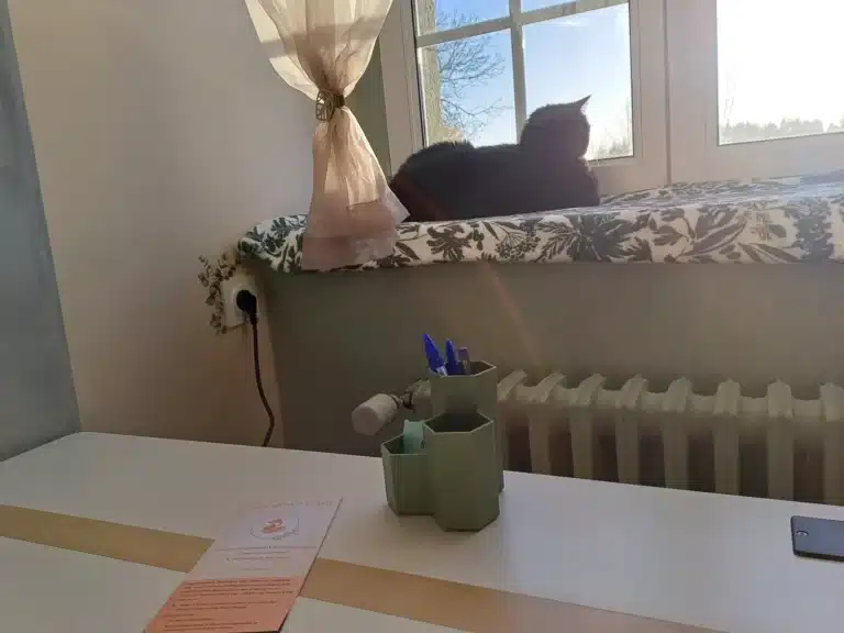 Le chat médiateur de L'Arche du Renard installé sur le rebord de la fenêtre
